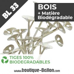 BL33 Tige Ballon WoodStick BioCup