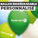 Ballon Biodégradable Personnalisé